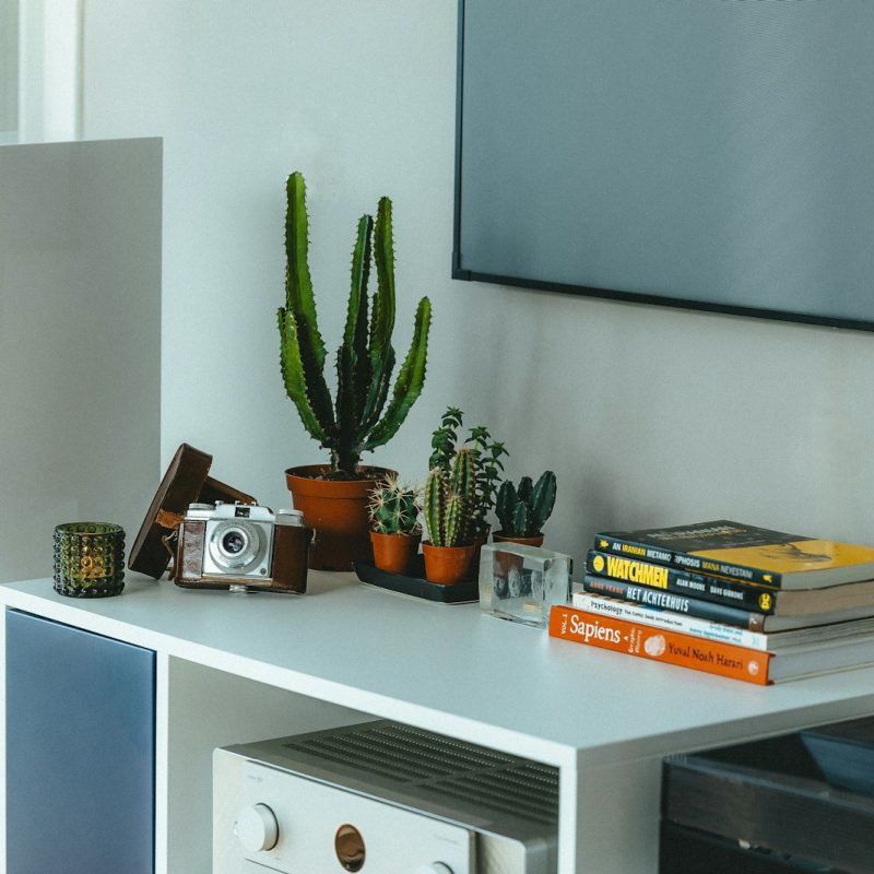 a white table with a bunch of books and plants on top of it